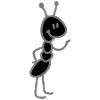 Ant
