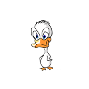 canard