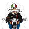 guzzi
