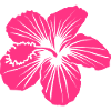 Hibiscus TROPIKAL 3