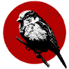 Sparrow