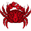 A red king crab