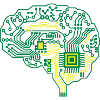 Cerveau