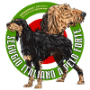 segugio italiano nero