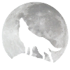 Wolf im Mond