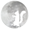 Eichhörnchen im Mond