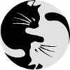 chat yin yang