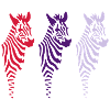 three zebras (b)