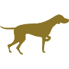 Magyar Vizsla