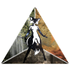 sexy fox in triangle