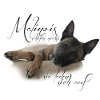 Malinois schlafen nicht ...