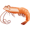Shrimp