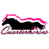 Quarterhorses