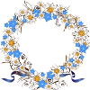 Gentiane Edelweiss