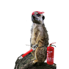 Feuerwehr Erdmännchen