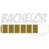 BACHELOR STUDENT