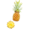Ananas