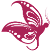 Schmetterling