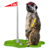Golf-Erdmännchen