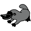 Ornithorynque