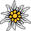 EDELWEISS BLOSSOM