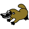 Schnabeltier 3