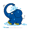 Der Elefant duscht mit Rüssel