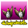 Schnapsdrosseln
