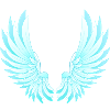 Pair of wings