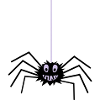Spider on a string