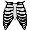 12 Kanal EKG