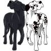 Couple o Danes
