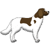 small Münsterländer
