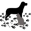 Hund und Katze