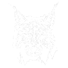 Luchs