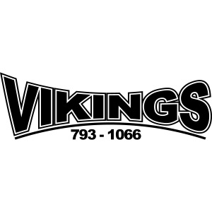 Vikings 793 1066