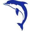 dolphin2