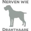 Nerven wie Drahthaare
