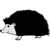 hand drawn hedgehog