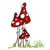 Muchotravky - Toadstools