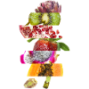 Obst & Gemüse