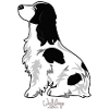 cocker1
