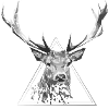 cerf