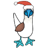 Christmas booby
