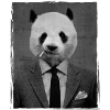 Dandy Panda