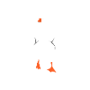 goose
