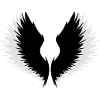 Wings with shadow