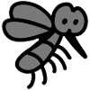 Mosquito - insect