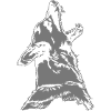 MalinoisVerbeller