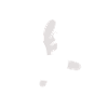 Baby Pegasus
